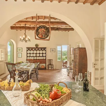 Centolivi 8 By Salogi *