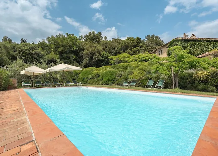 Centolivi 8 By Salogi *