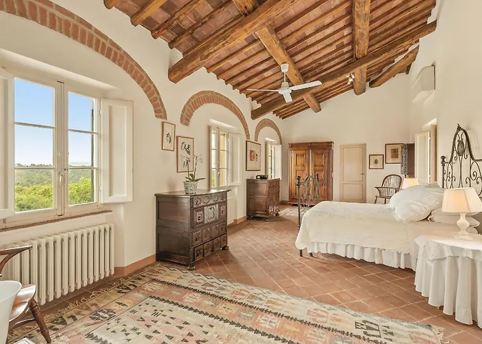 Centolivi 8 By Salogi